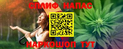 гашик Бузулук